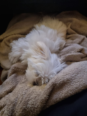 22-10-25 wat kan die kleine slapen